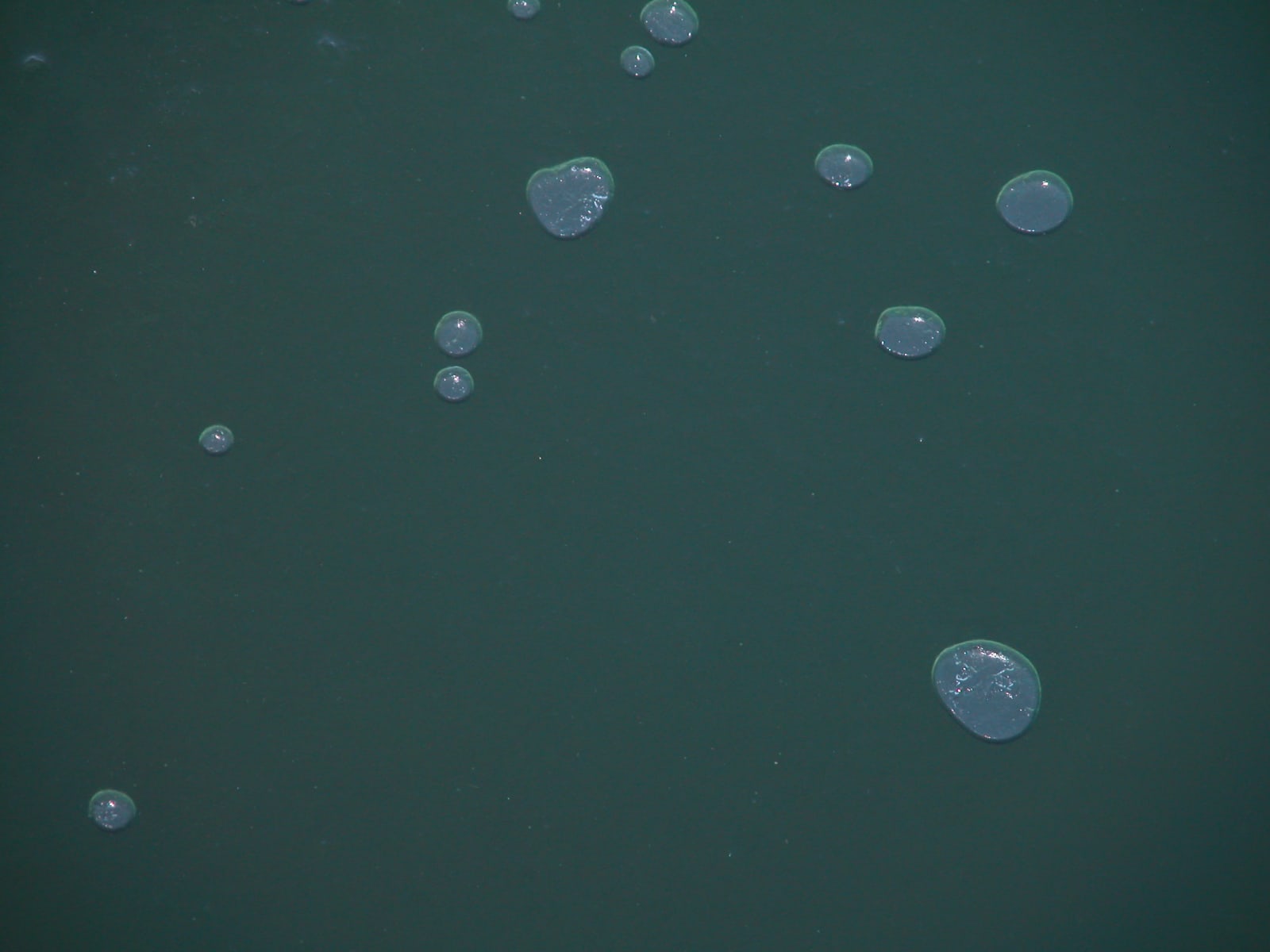 Joseph La Piana, Air (SHM/411), 2003