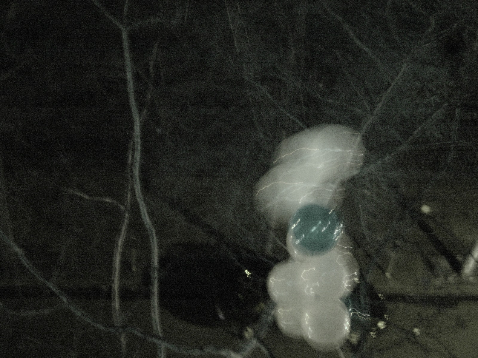 Joseph La Piana, Tangled I (GPB/ 021), 2005