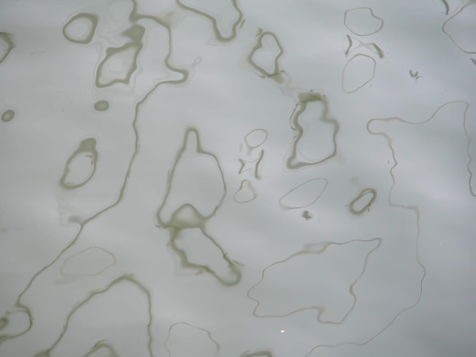 Joseph La Piana, Untitled (SHM/592), 2003