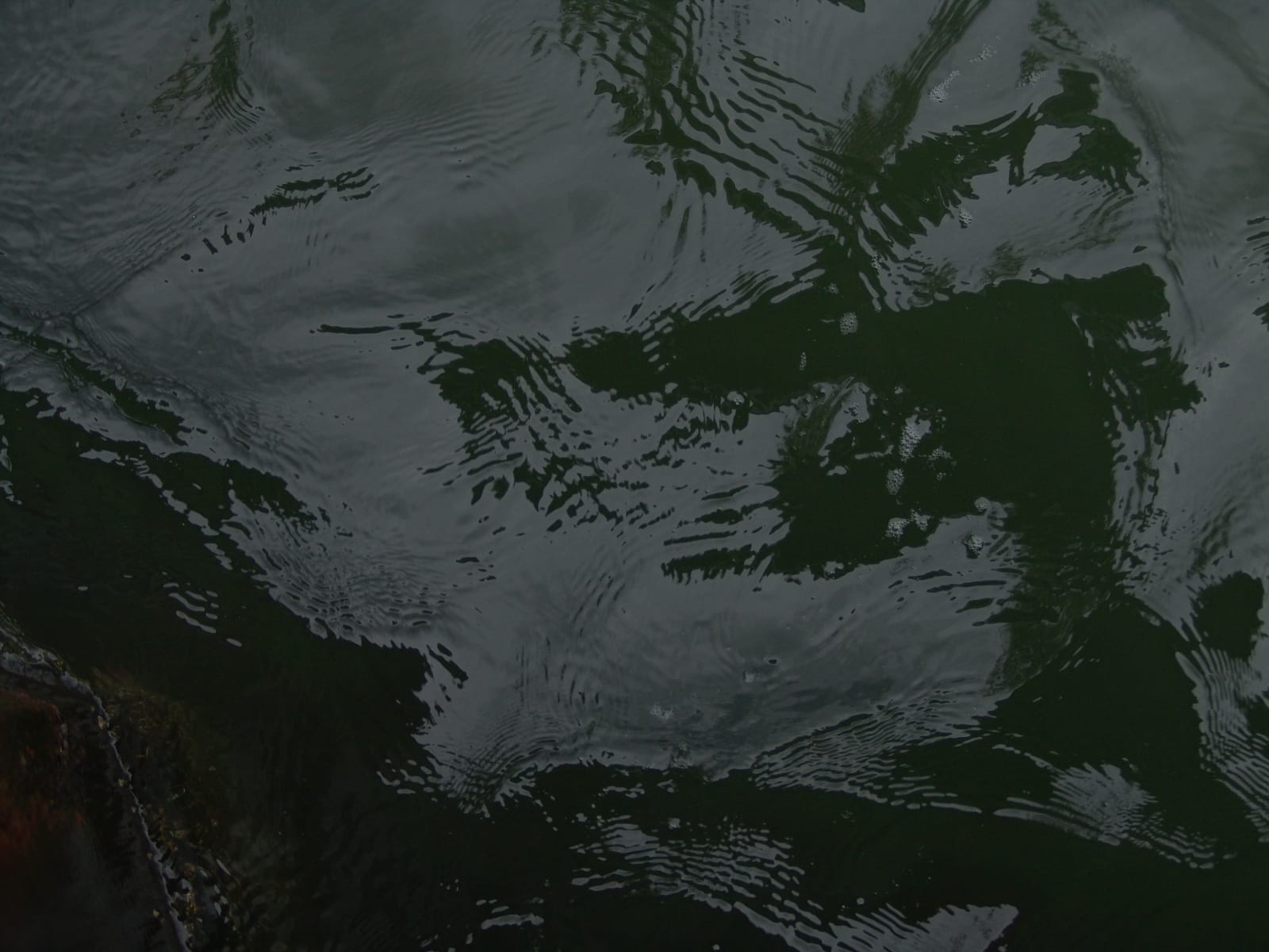 Joseph La Piana, Sag Harbor Abstracts (SHA/605), 2006