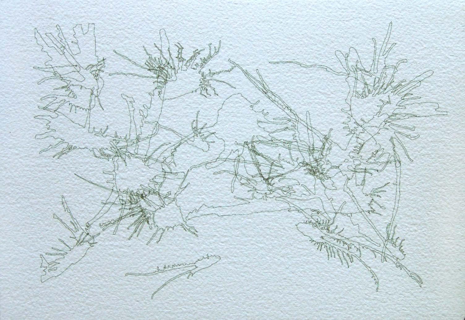 Joseph La Piana, Untitled XXII, 2008