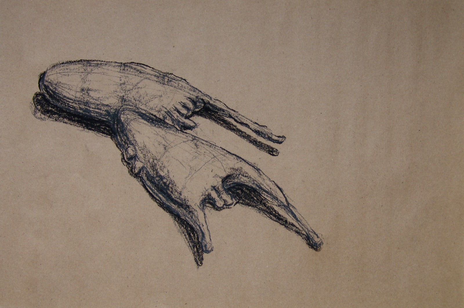 Joseph La Piana, Photonastic Drawing IV, 2013