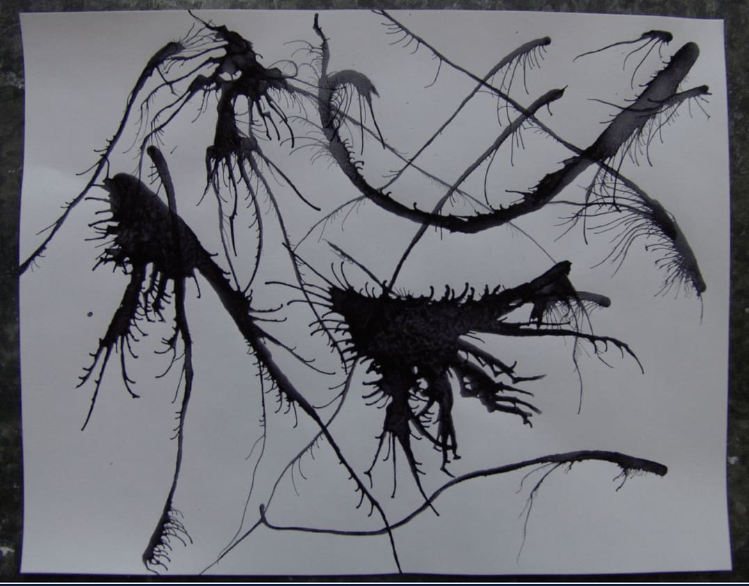 Joseph La Piana, Kinetic Movement F, 2008