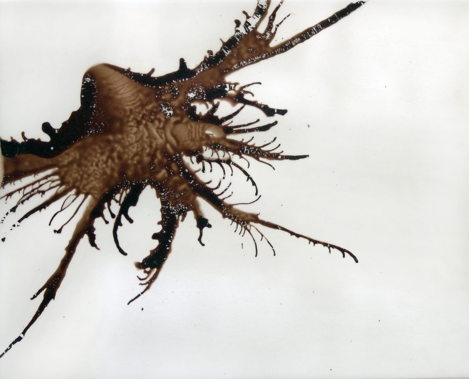 Joseph La Piana, Untitled XXVI, 2004