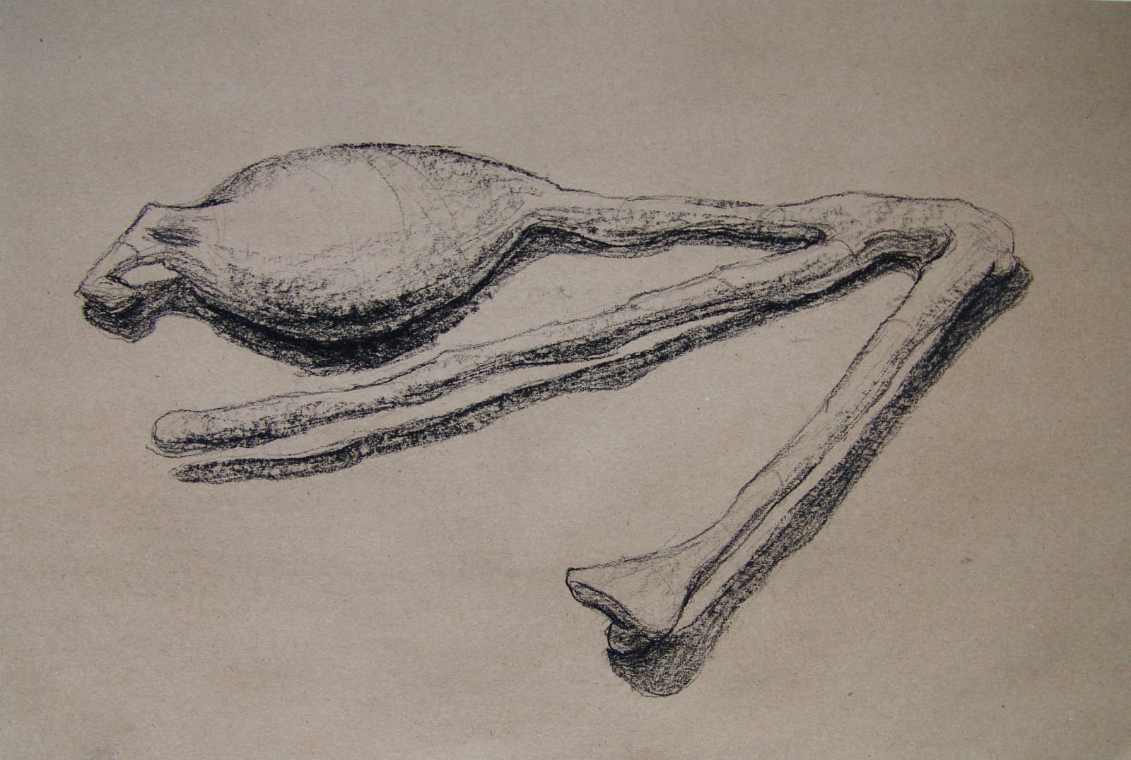 Joseph La Piana, Photonastic Drawing XX, 2013