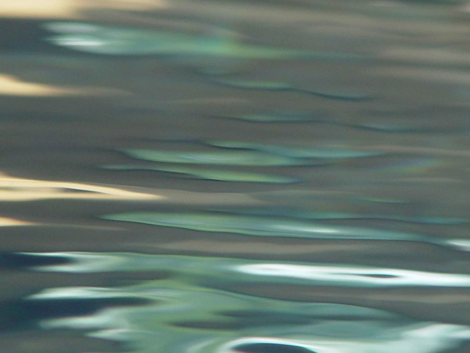 Joseph La Piana, Untitled (FP/15), 2003