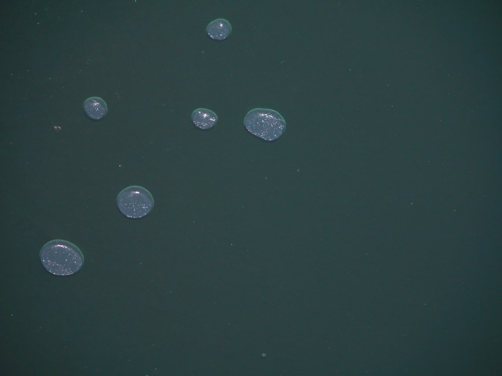 Joseph La Piana, Air (SHM/410), 2003