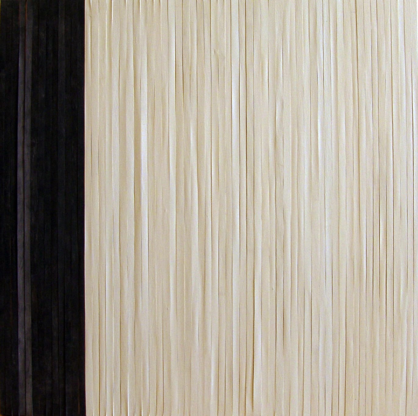 Joseph La Piana, Black and White Tension, 2013