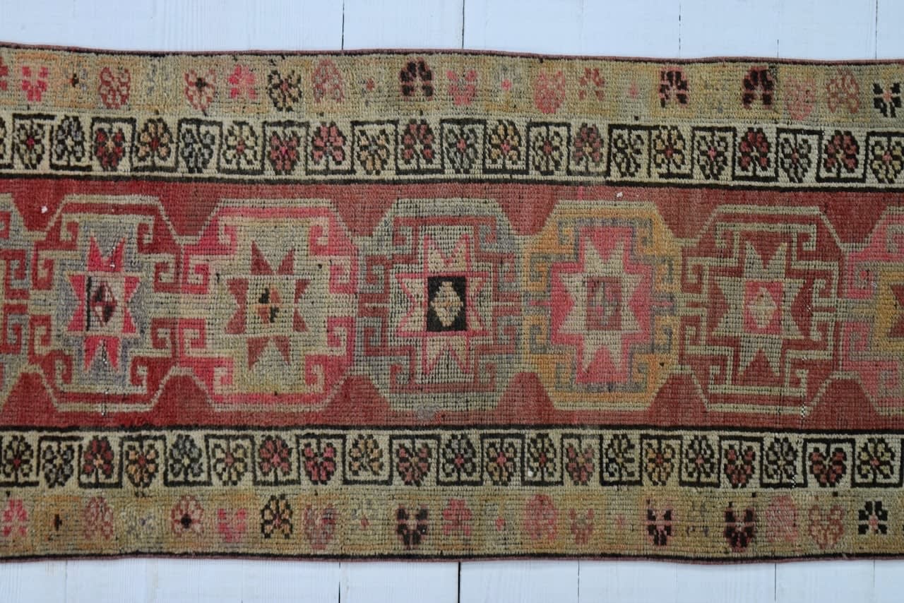 Anatolian runner