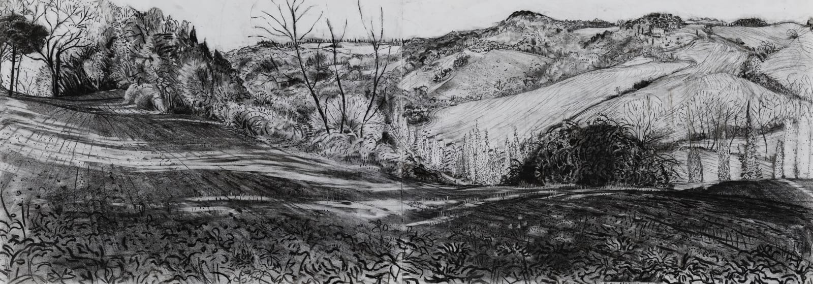 Rosie MacCurrach, Brambles