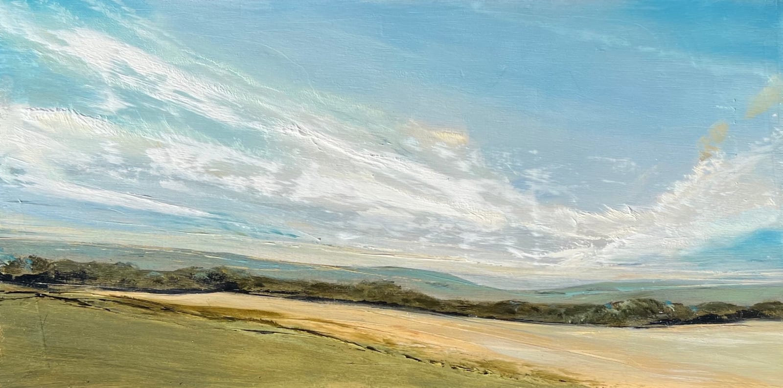 Jane Skingley, Downland Walk, Hampshire