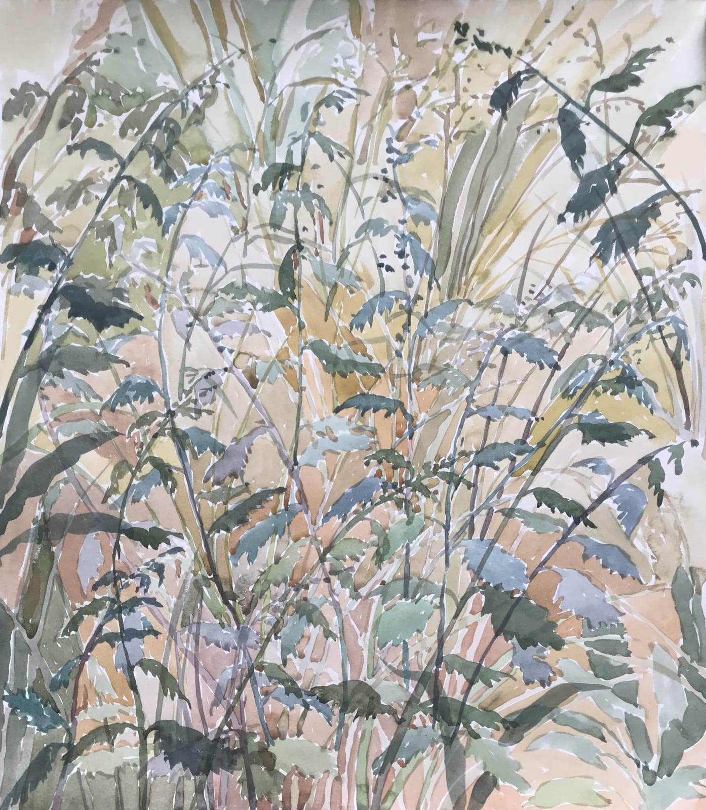 Beatrice Hasell-McCosh, Nettles