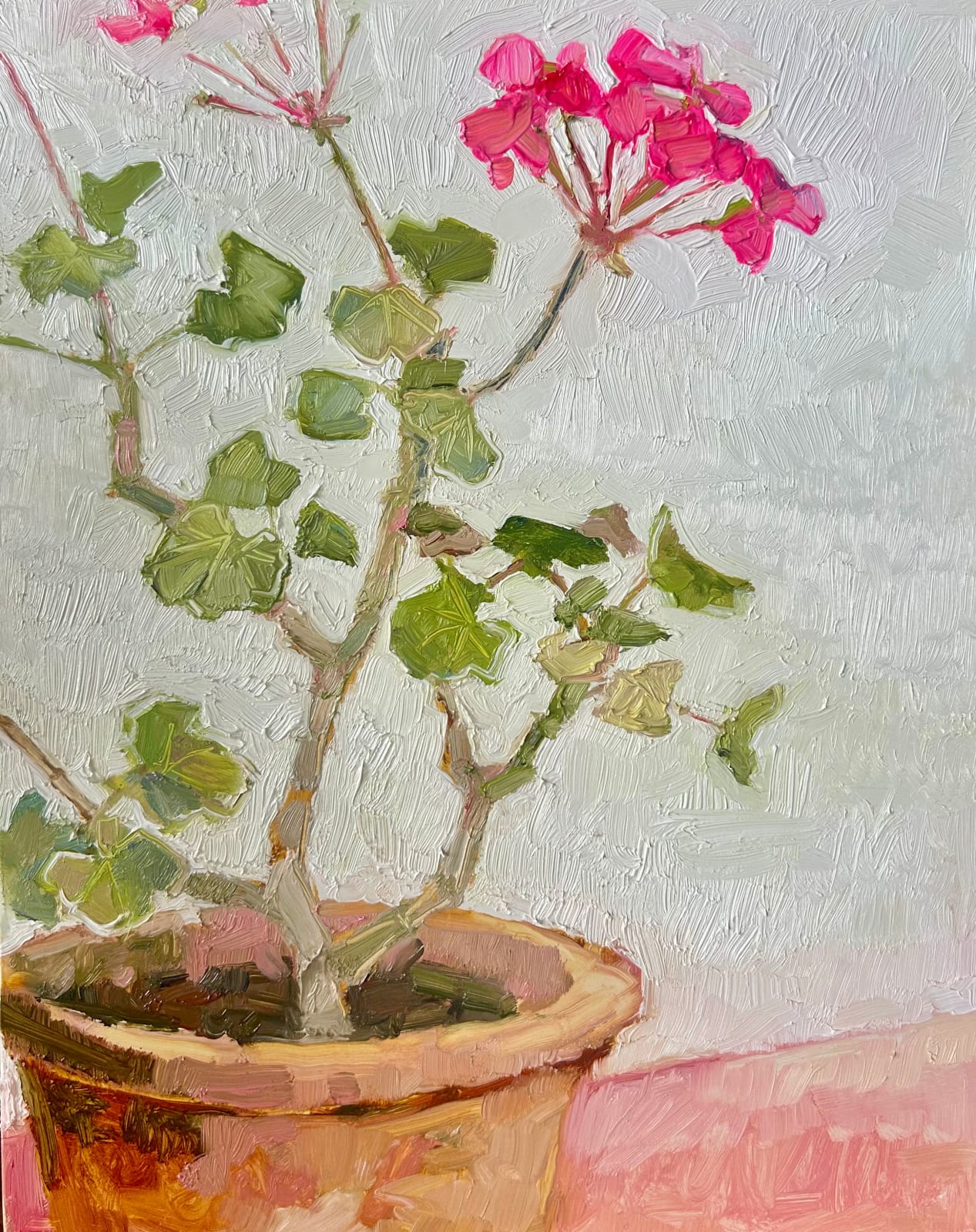 Nicola Stratton Tyler, Pink Pelargonium on Pink Cloth