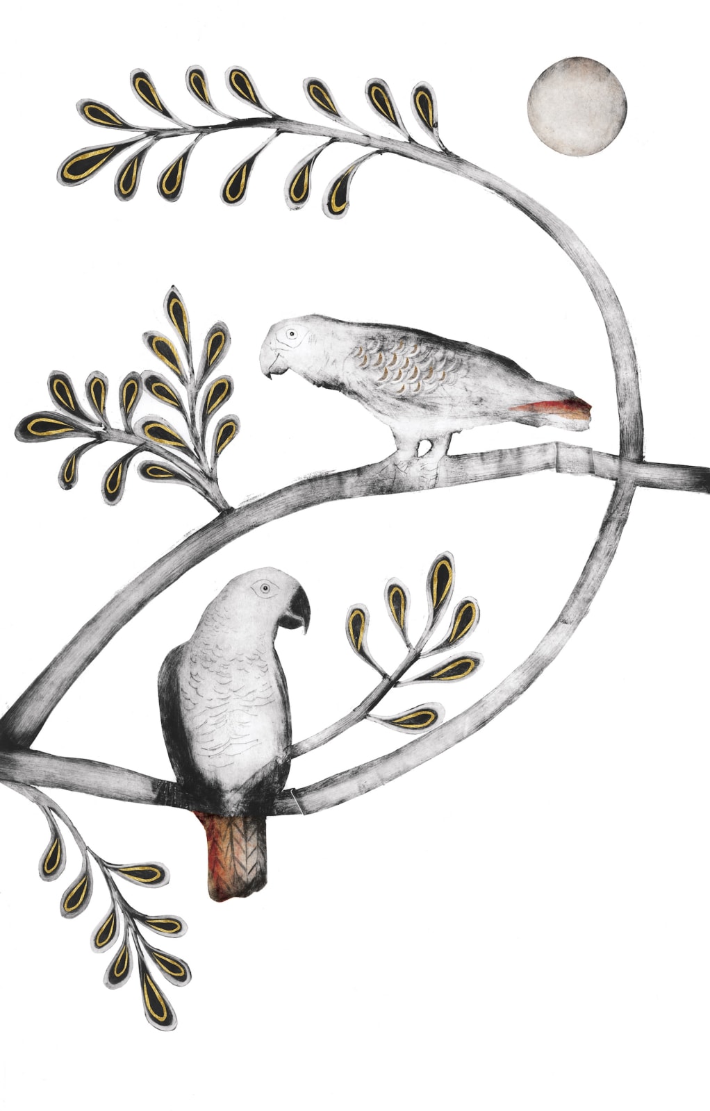 Beatrice Forshall, African Grey Parrots