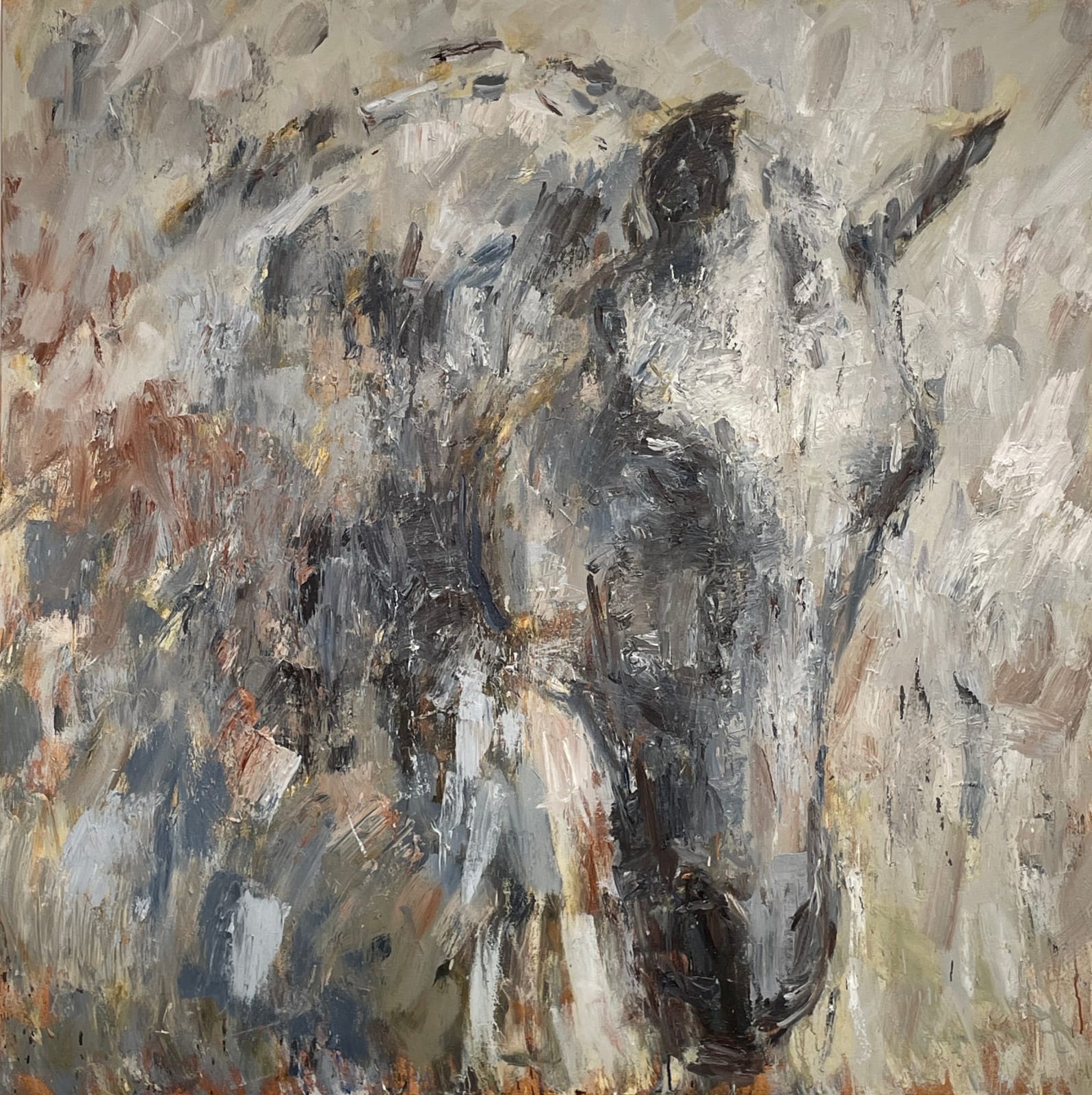 Judy Buxton, Hyperion II