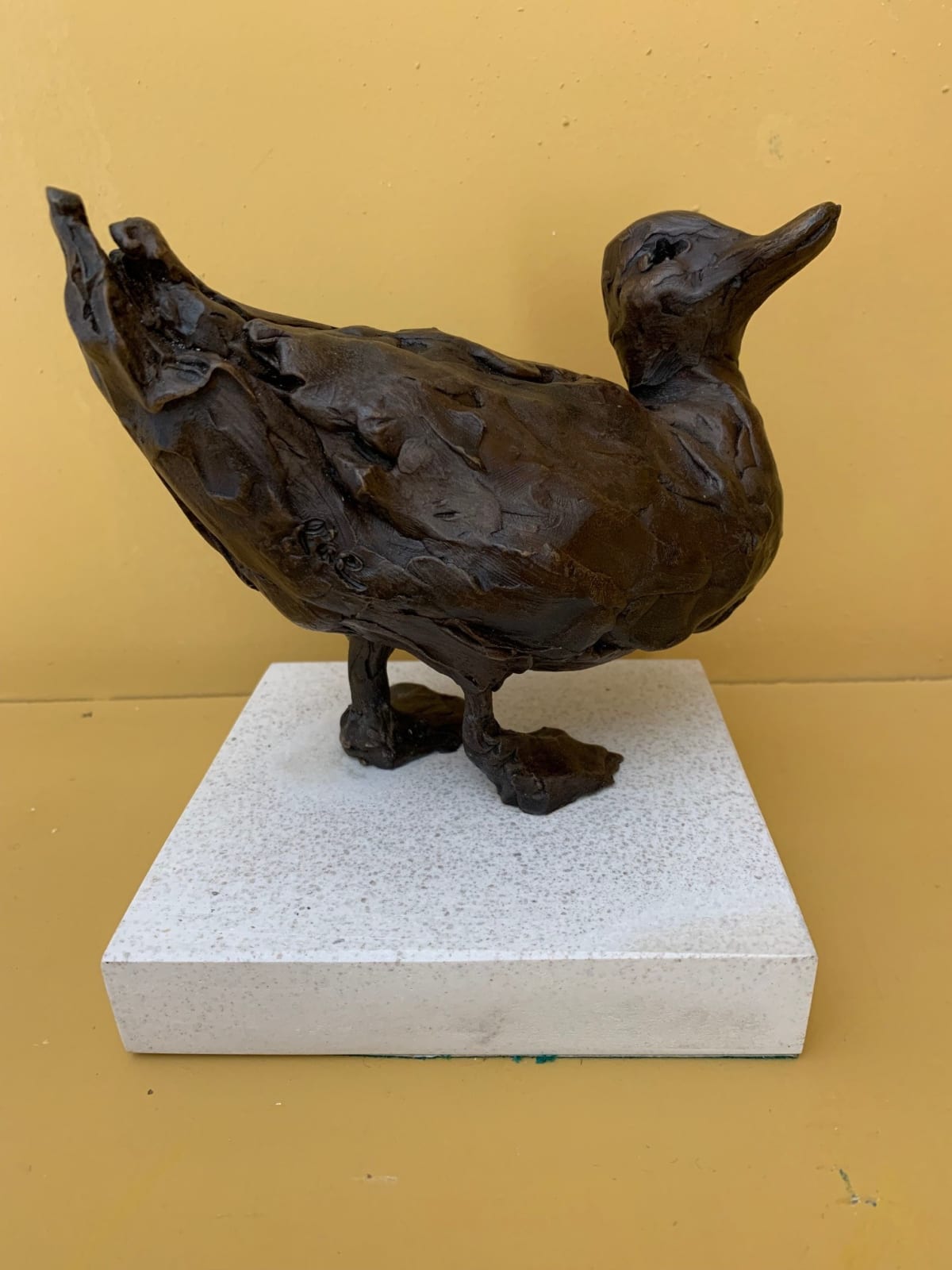 Rachel Stormonth-Darling, Small Duck