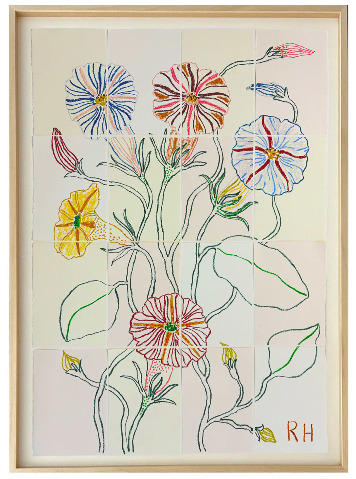 Rosie Harbottle, Four O'Clock Flower