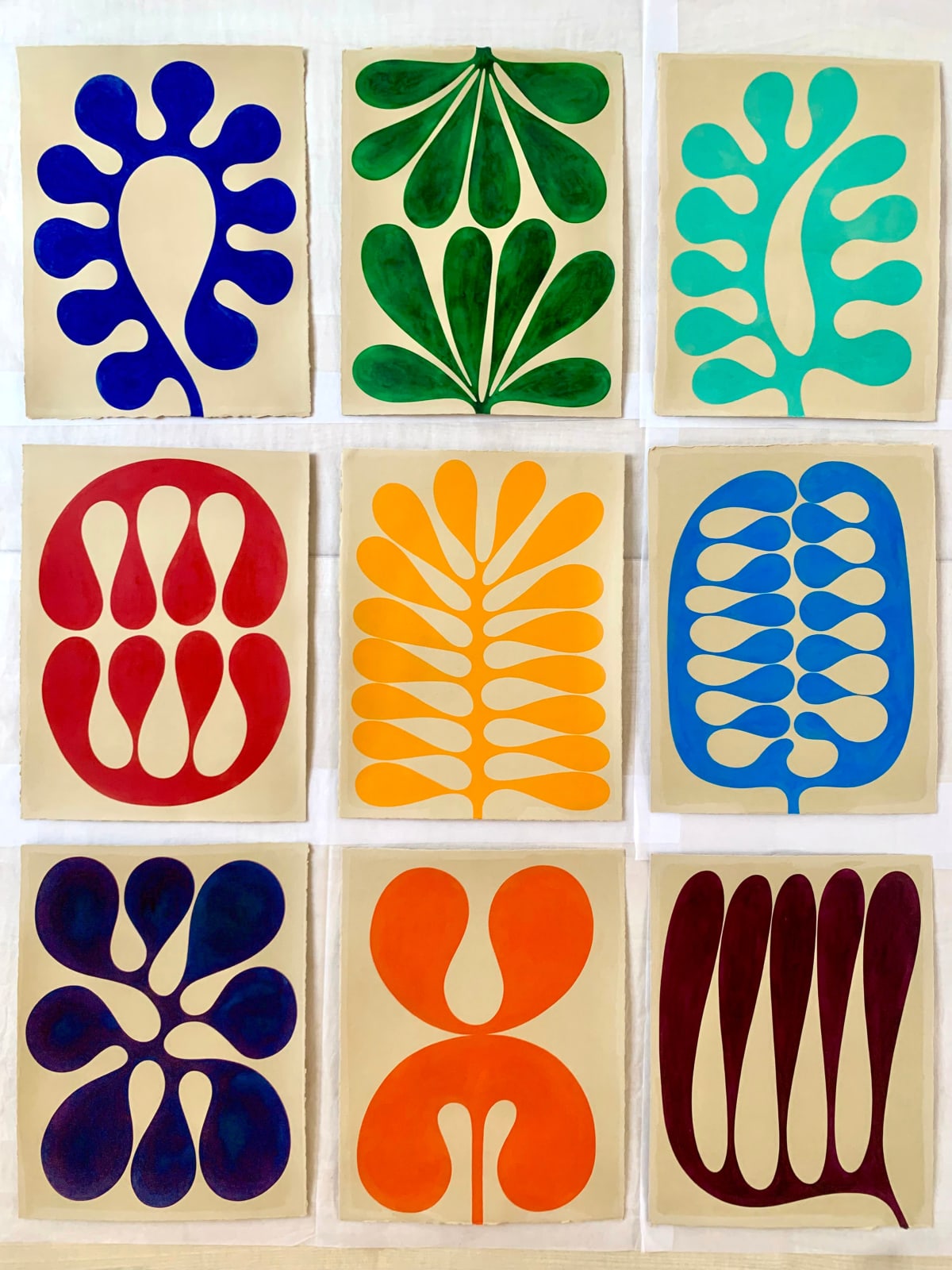 Henrietta Molinaro, Leaf Studies 28-36