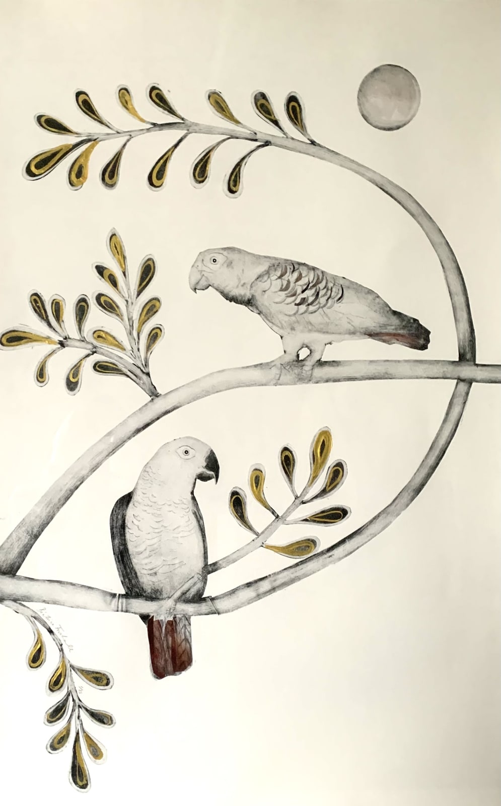 Beatrice Forshall, African Grey Parrots