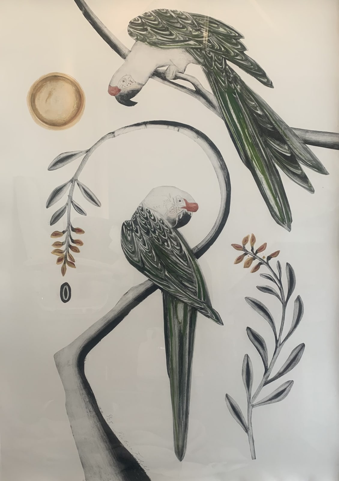 Beatrice Forshall, Great Green Macaws