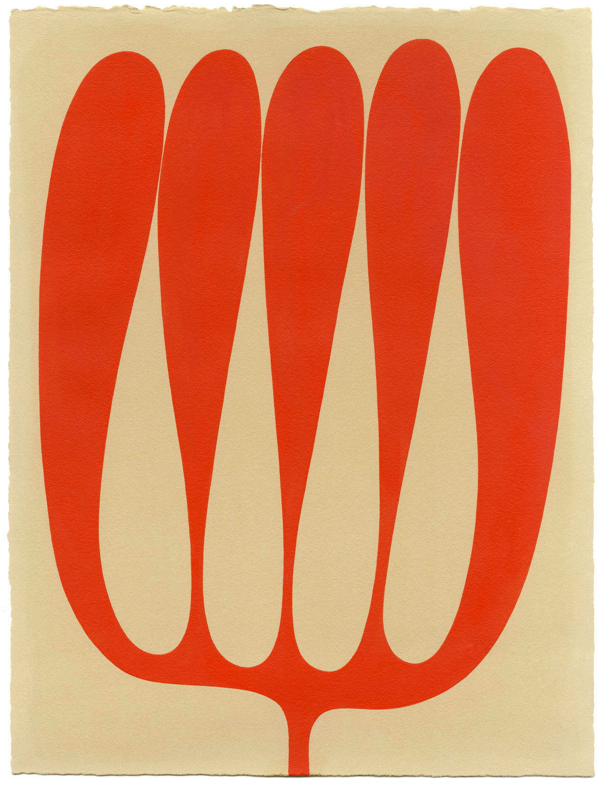 Henrietta Molinaro, Leaf Study 27