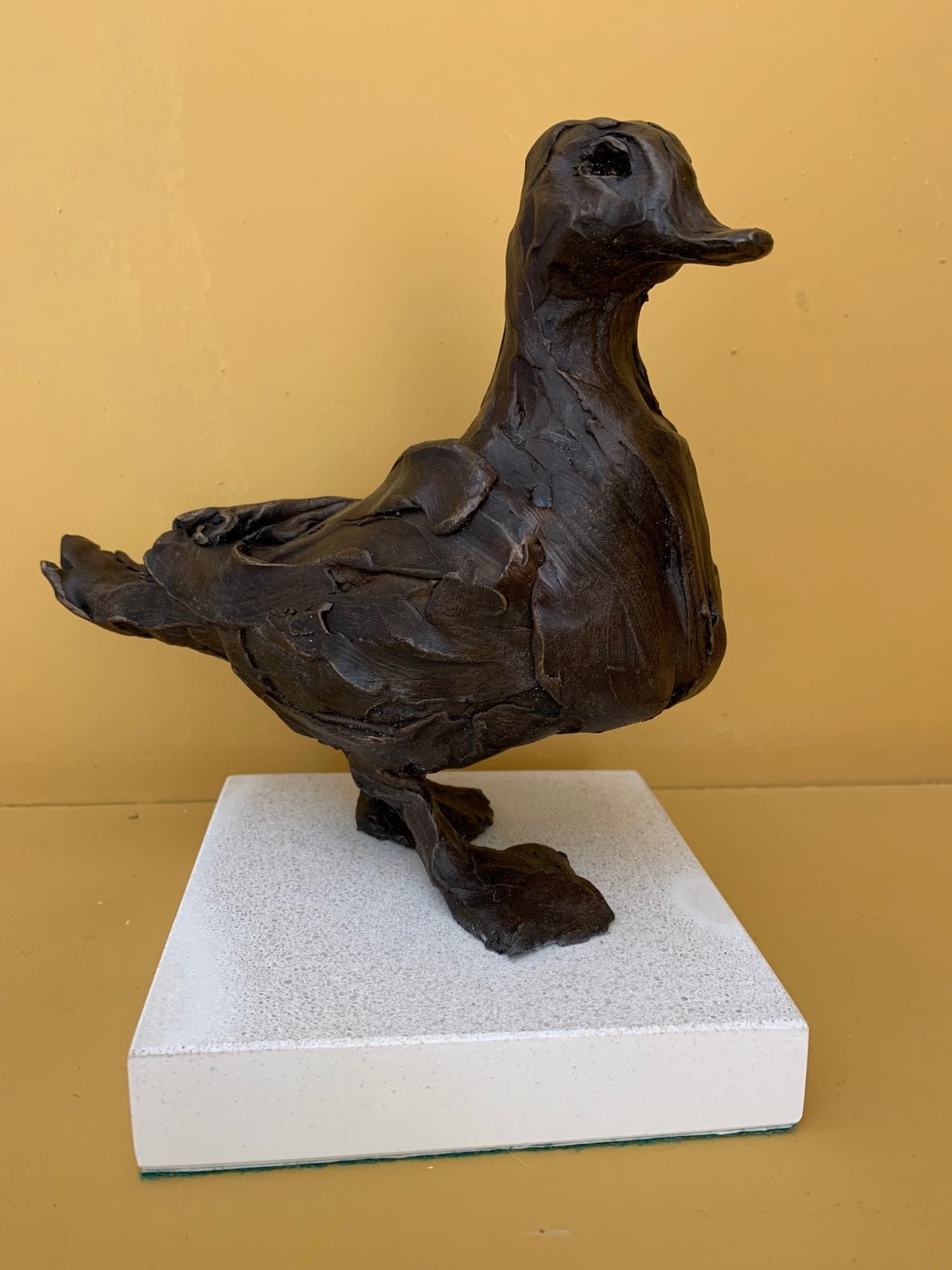 Rachel Stormonth-Darling, Medium Duck