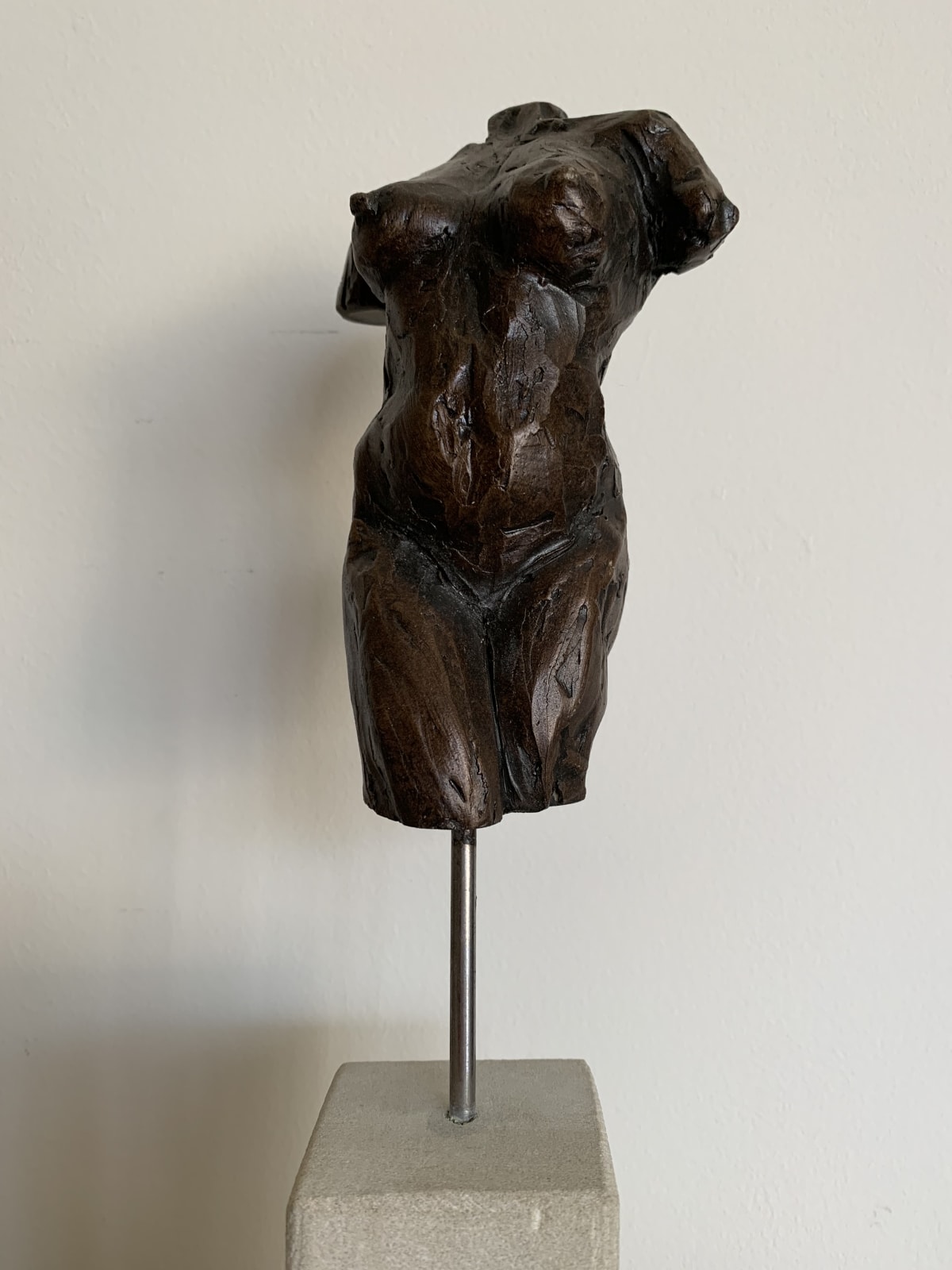 Rachel Stormonth-Darling, Torso I