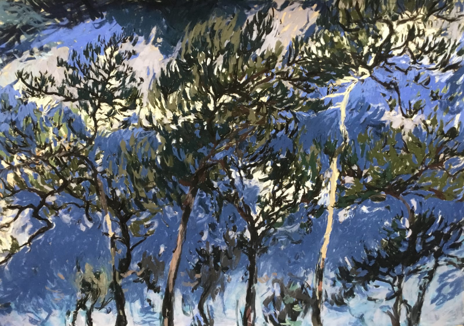 Tyga Helme, Shadowy Wings