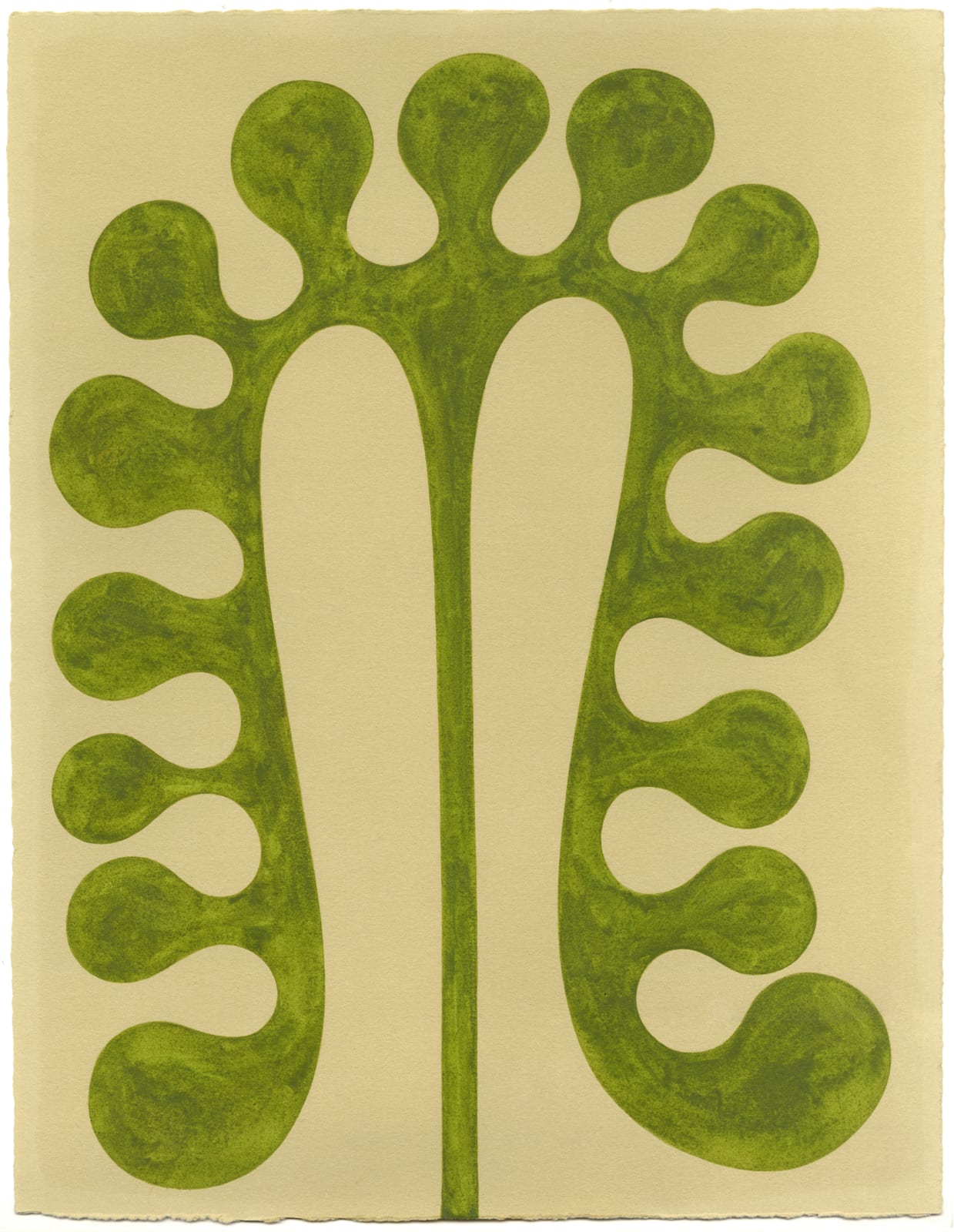 Henrietta Molinaro, Leaf Study 18