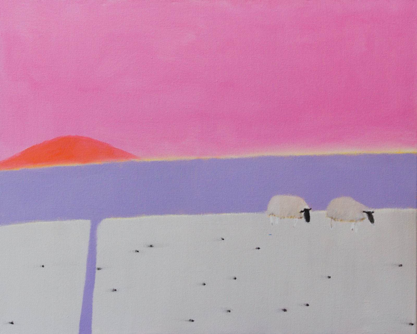 Andrew Squire, Two Muck Sheep