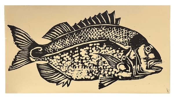 James Heslip, Gilt-Head Bream