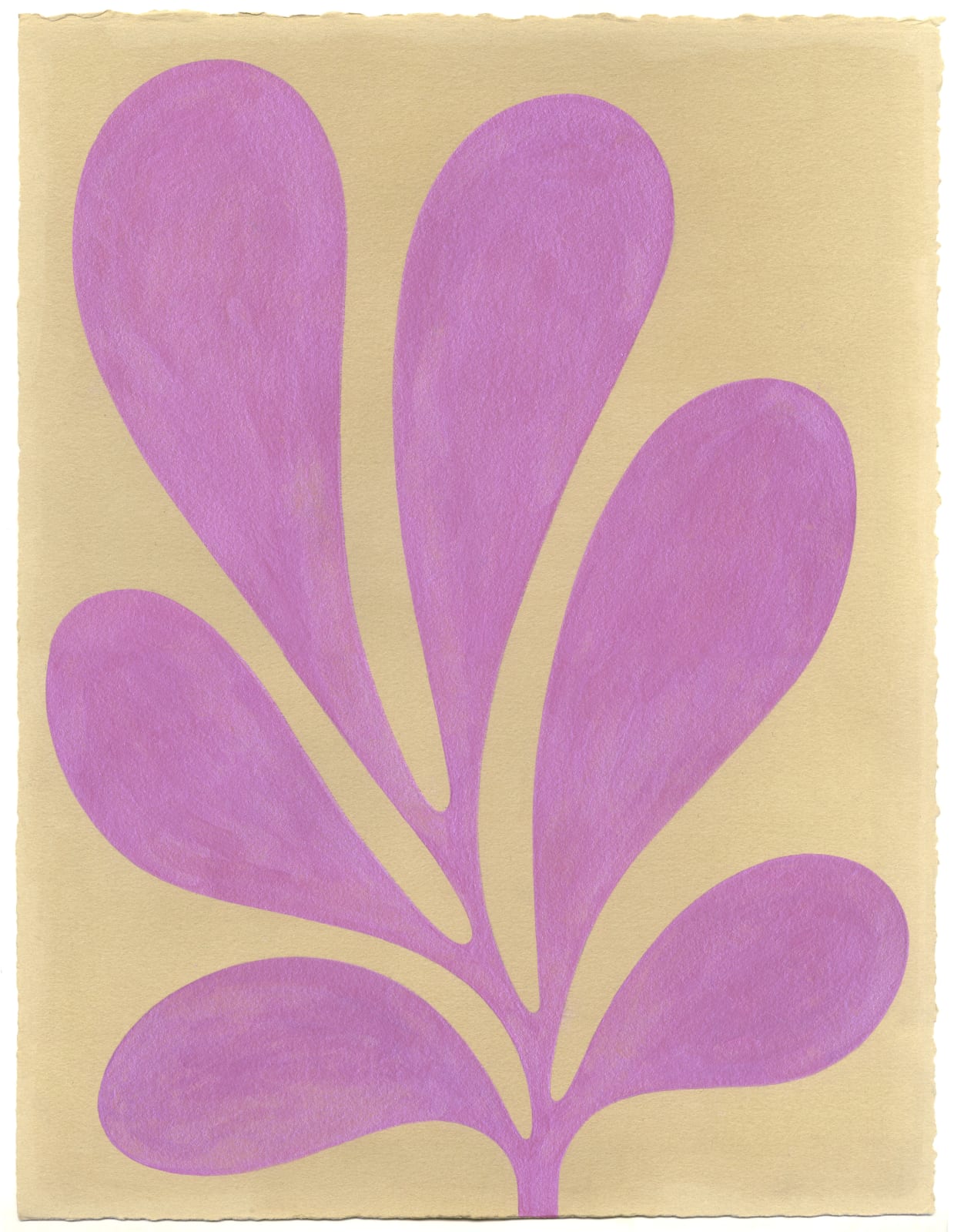 Henrietta Molinaro, Leaf Study 13