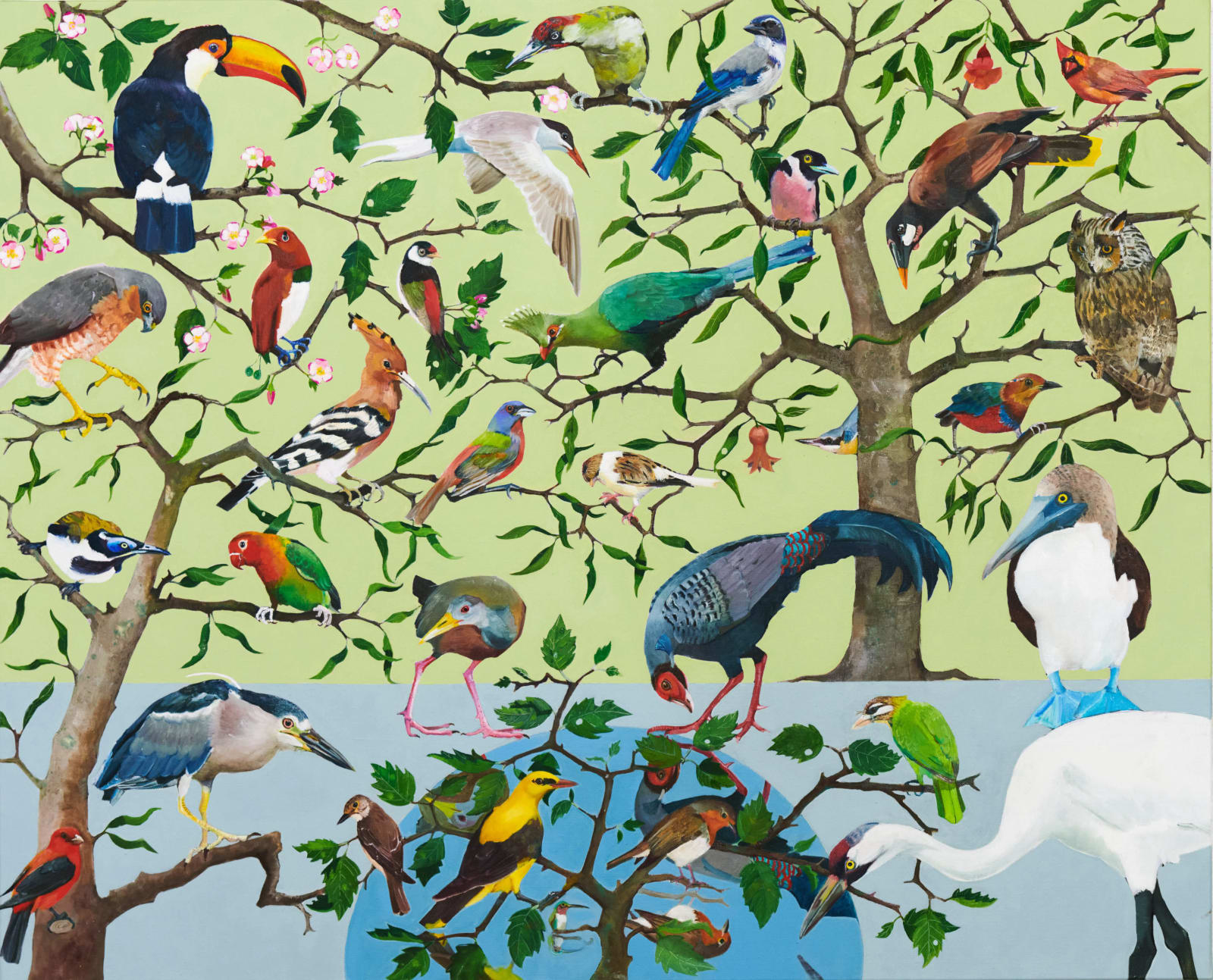 Miranda Johnston, The 30 Birds