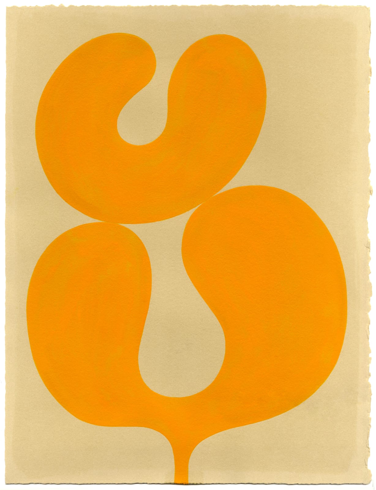 Henrietta Molinaro, Leaf Study 24
