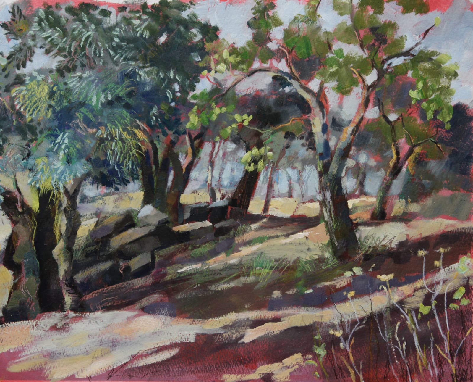Francesca Shakespeare, Olive Grove, Morning Light