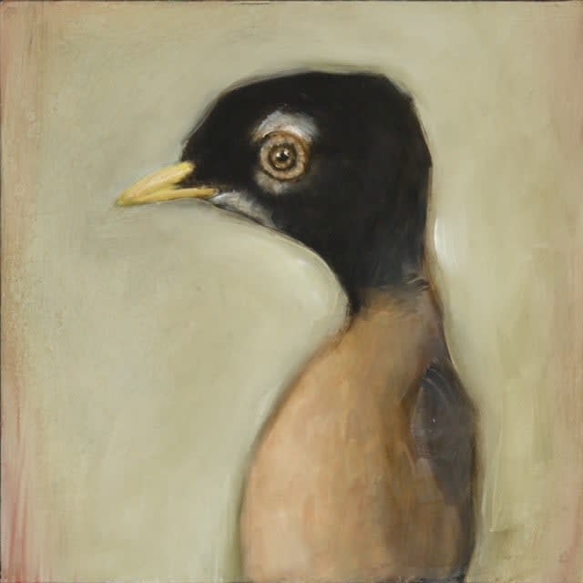 Michele Mikesell, Ed