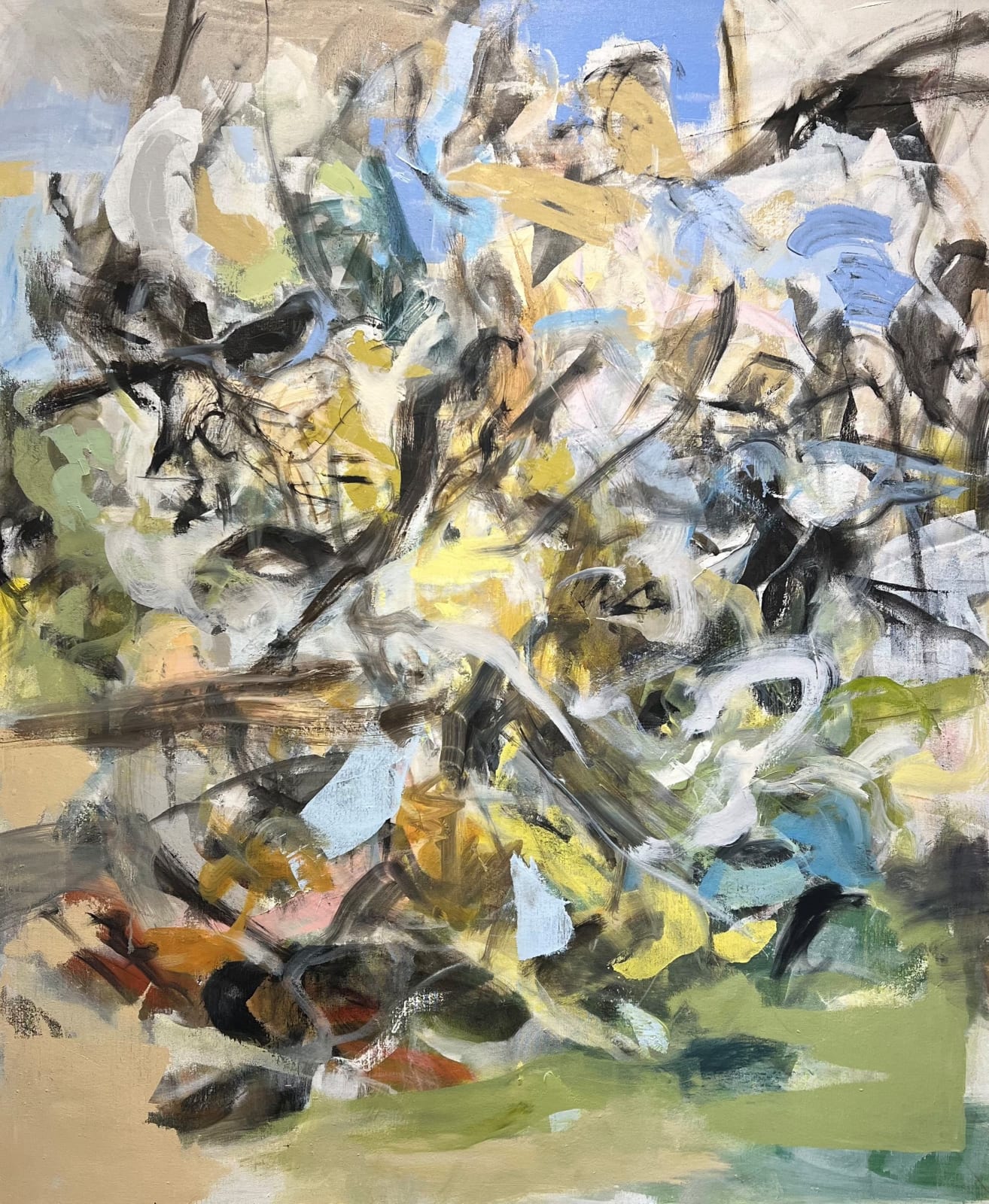 Rea Baldridge, The Sympathy of Birds