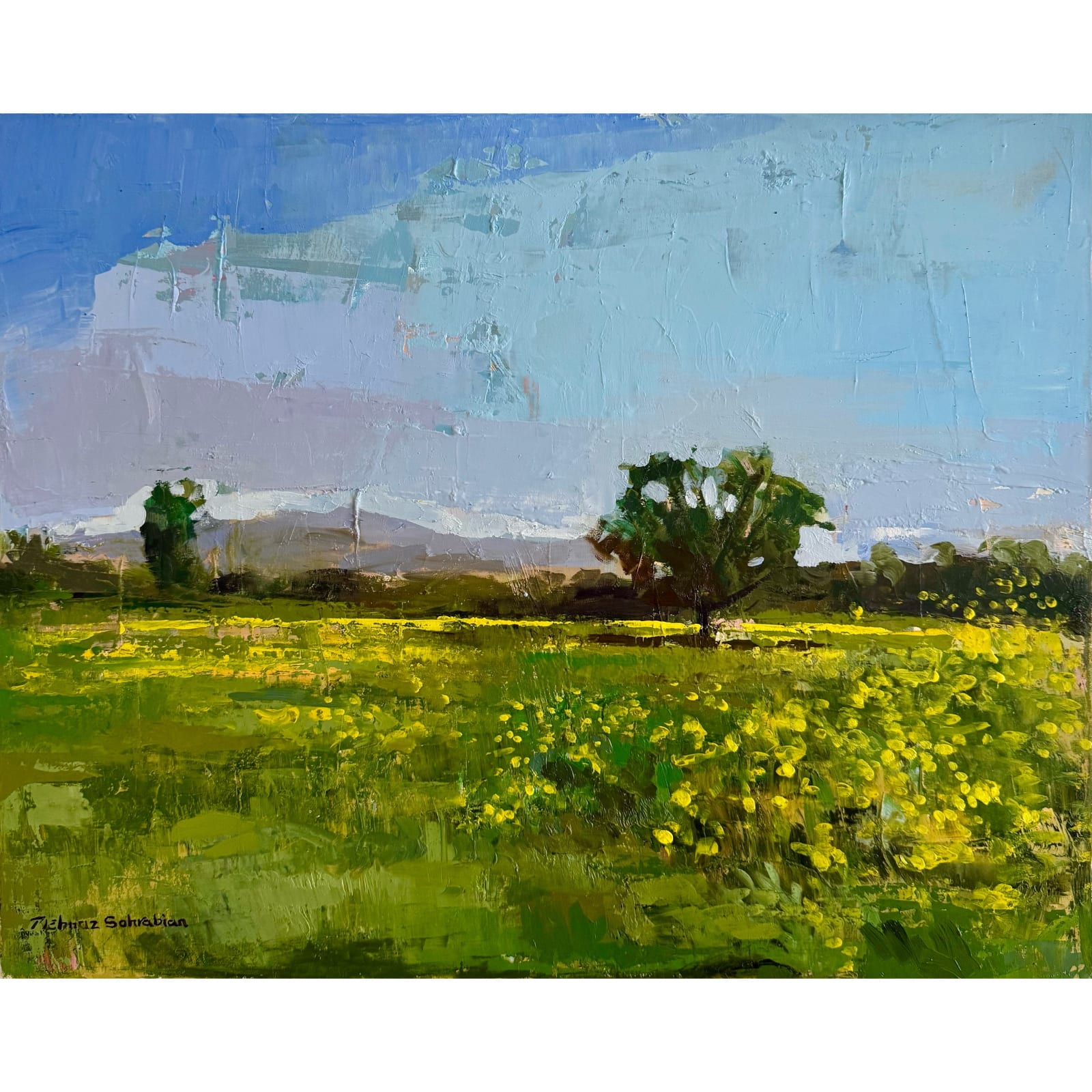 Behnaz Sohrabian, Rancho In Bloom