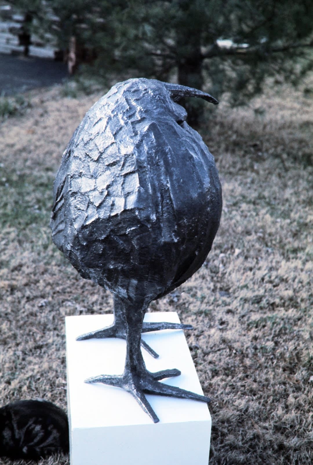 Bird (fat), 1975