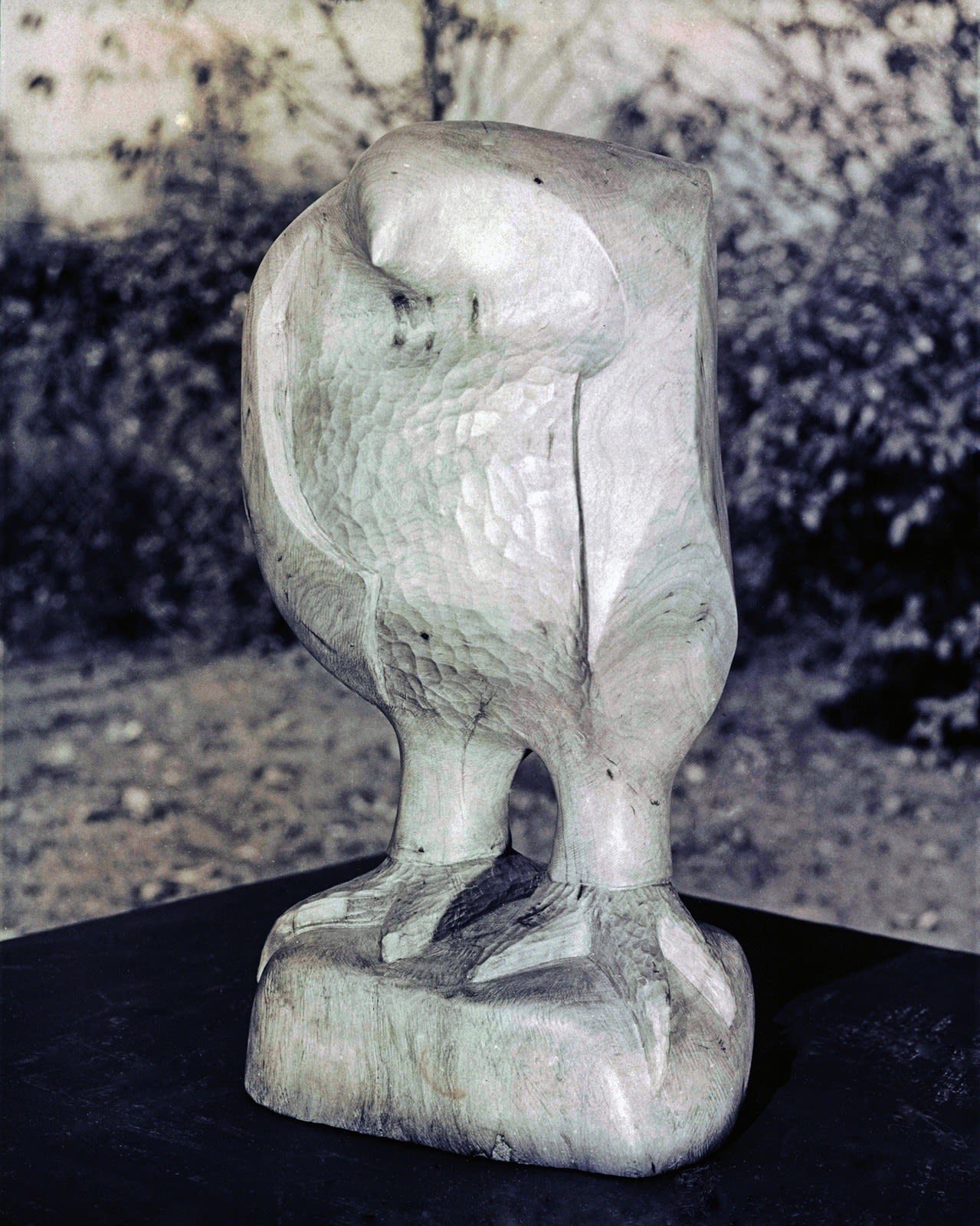 Bird, 1974