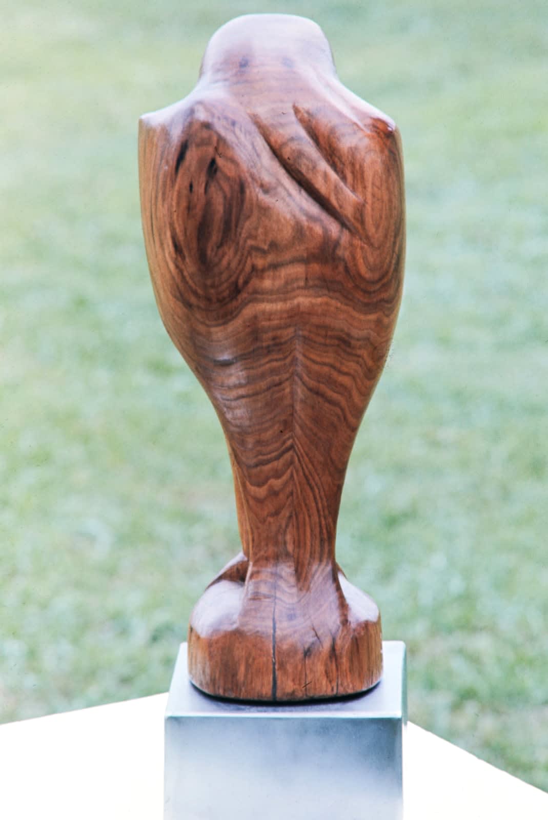 Bird, 1973