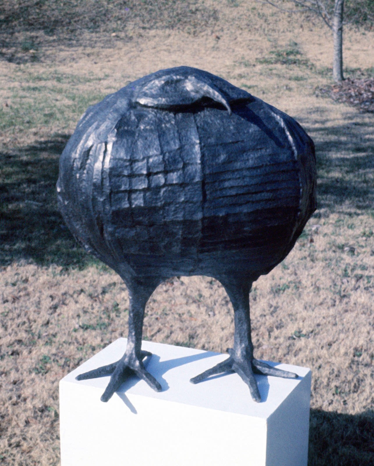 Bird (fat), 1975