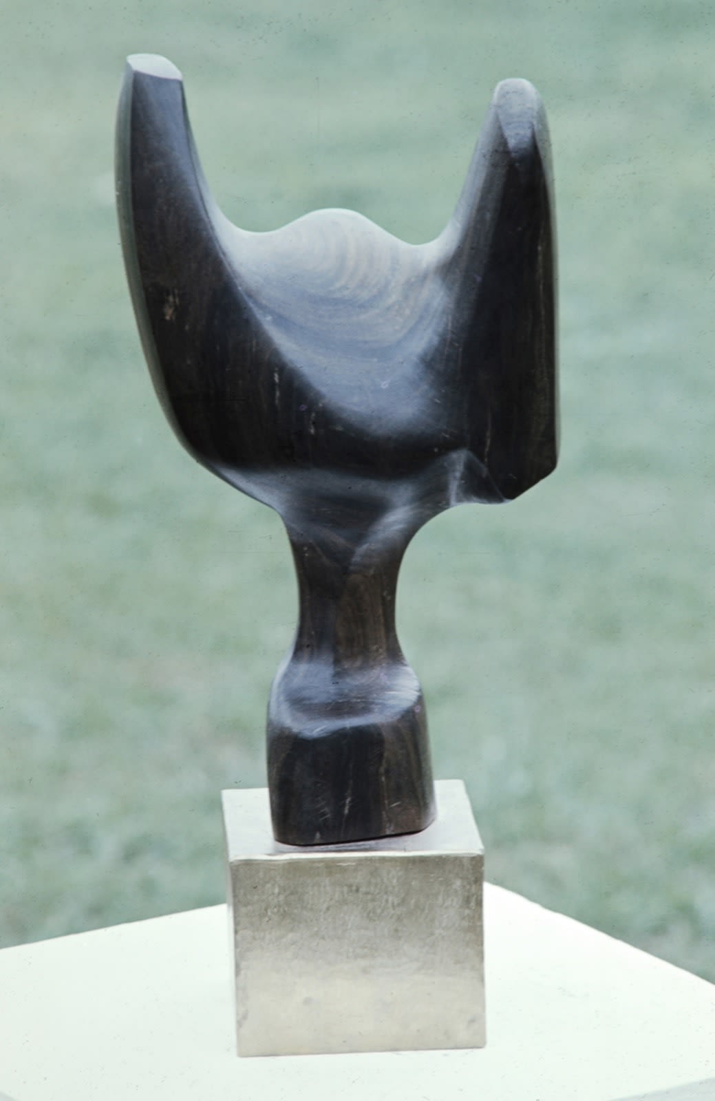 Bird, 1971