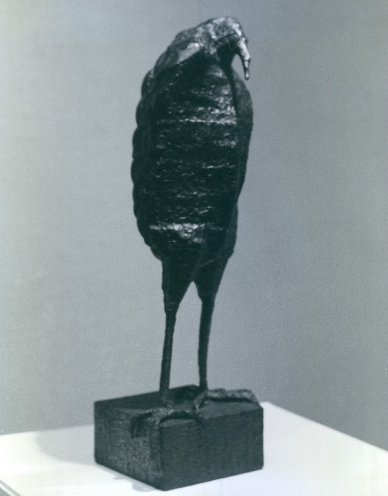 Lecherous Bird, 1973