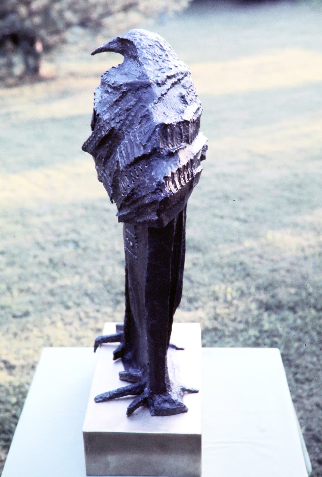 Robed Bird, 1975