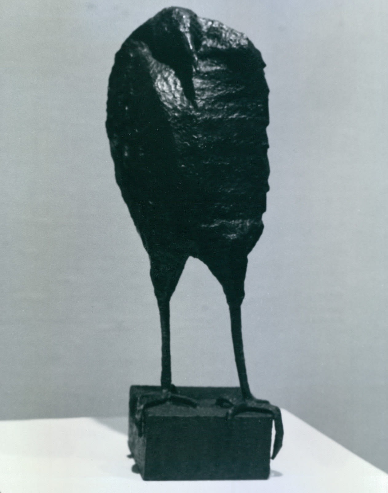 Lecherous Bird, 1973