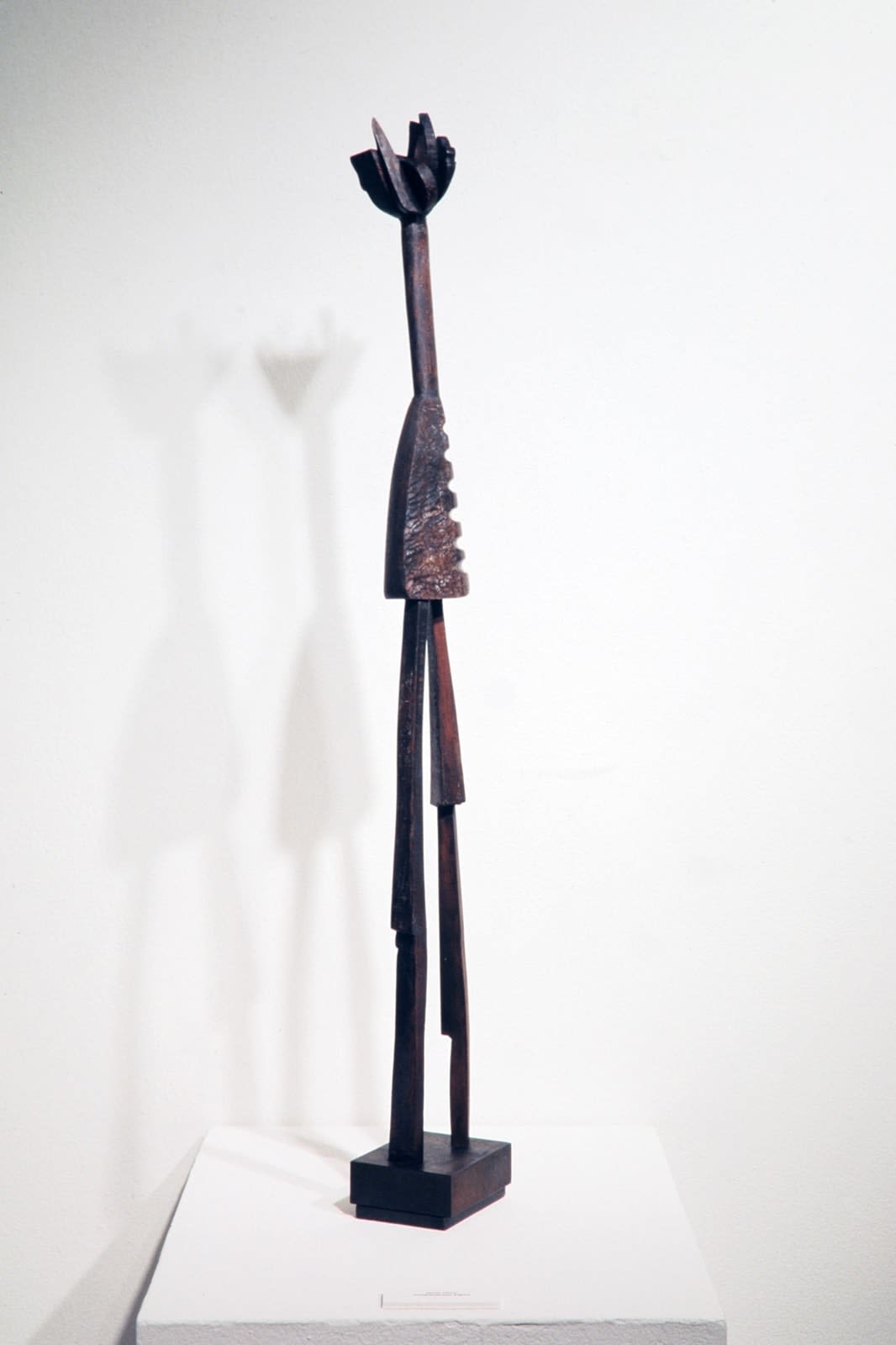 Complimentary Figure, 2003