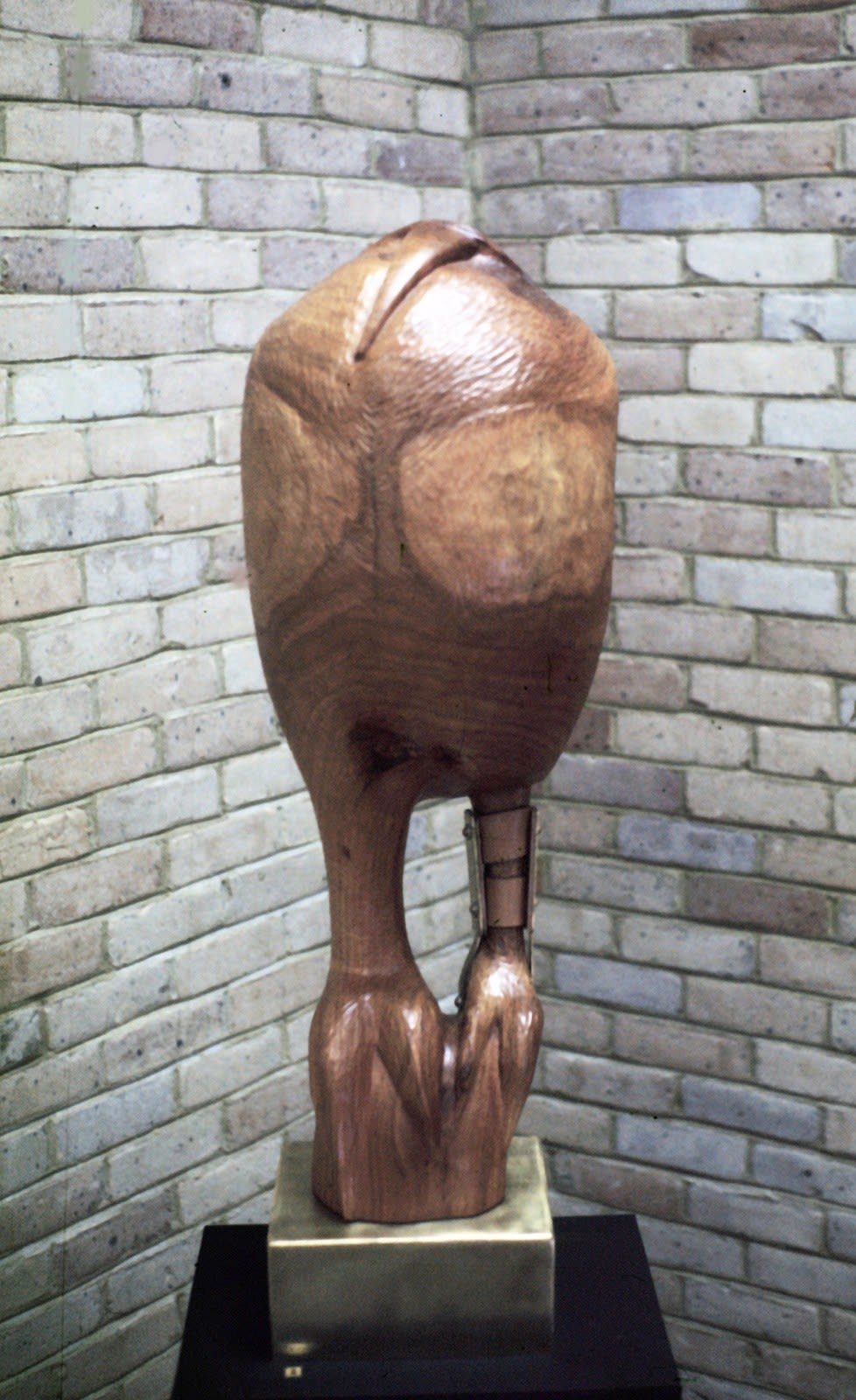Lame Bird, 1974