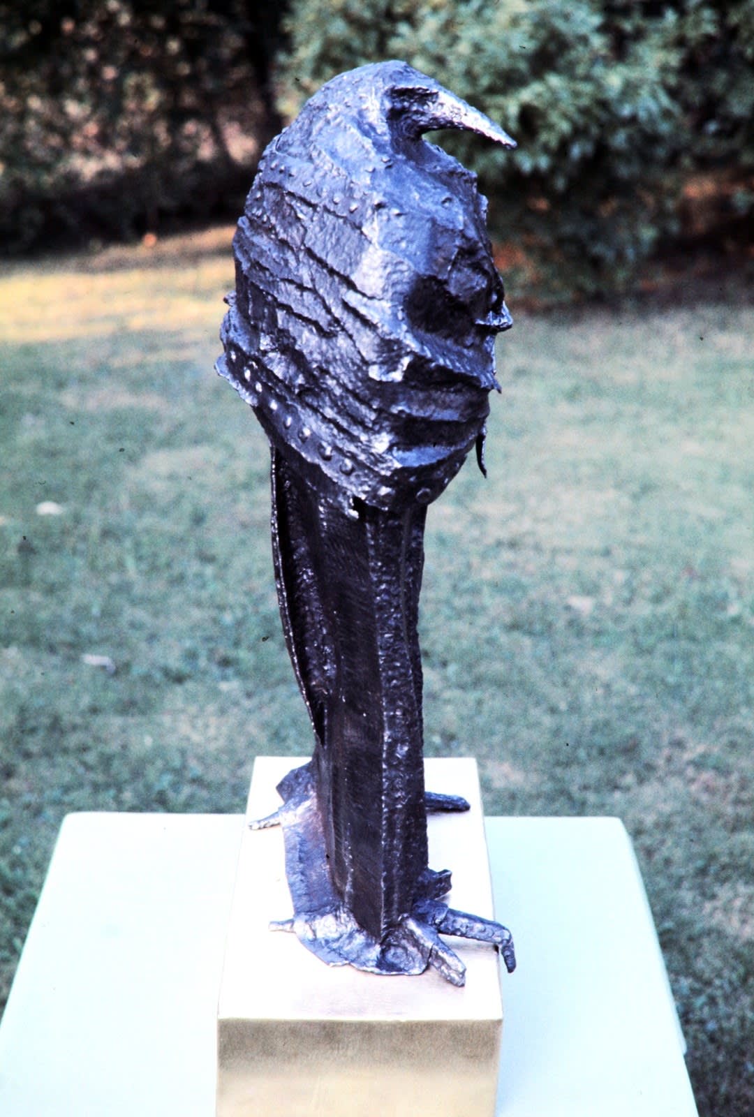 Robed Bird, 1975