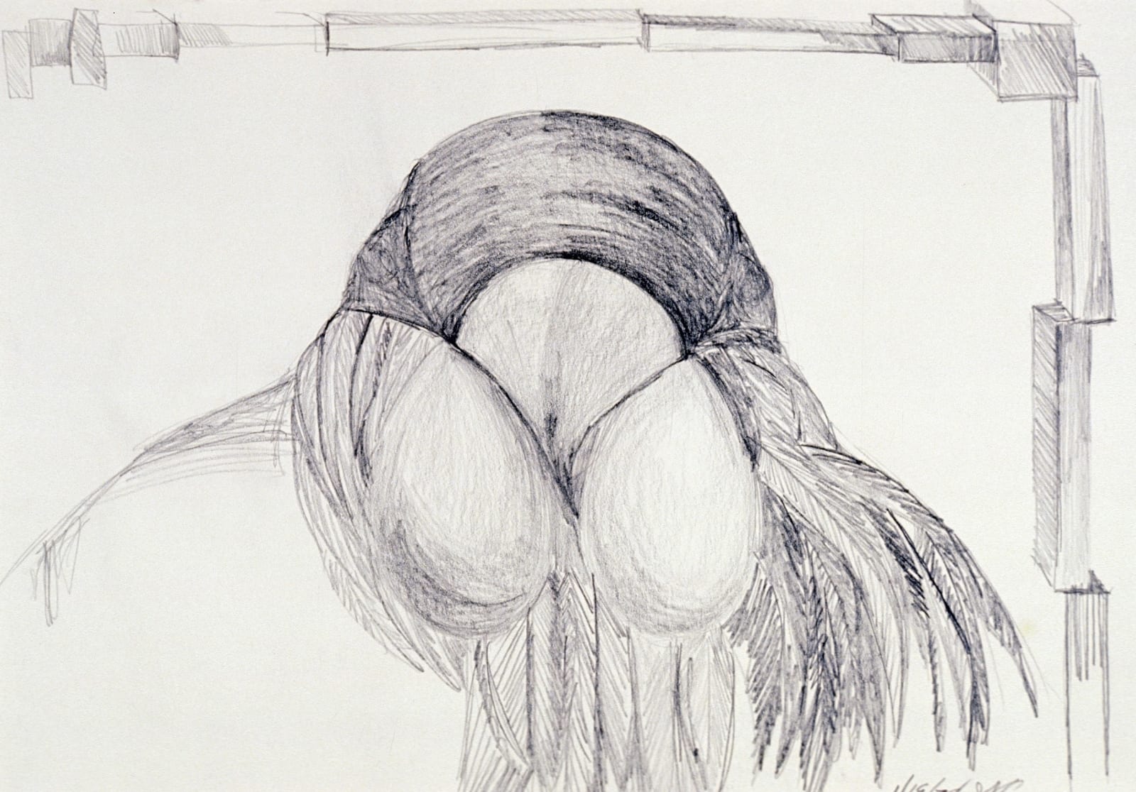 Bird Reflector, 1979